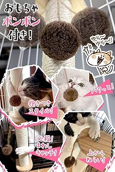 Amazon | 【猫健康管理士監修】 猫 爪研ぎ ケージ用 おもちゃ
